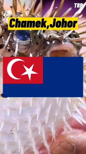 Elderly Couple buys & cooks Pufferfish from FB. Dies. #shorts смотреть онлайн