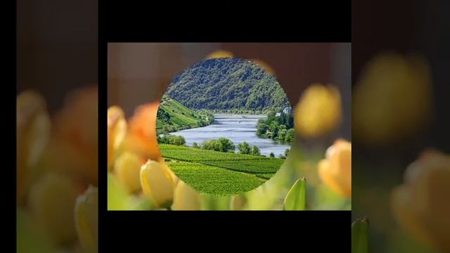 Скоро осень. смотреть онлайн