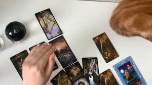 Расклад на май для знака Лев ♌️