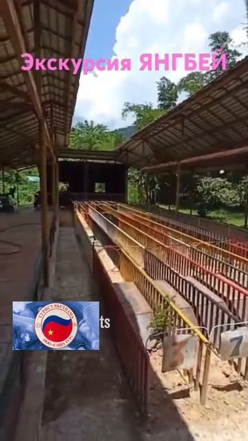 Живу во Вьетнаме.