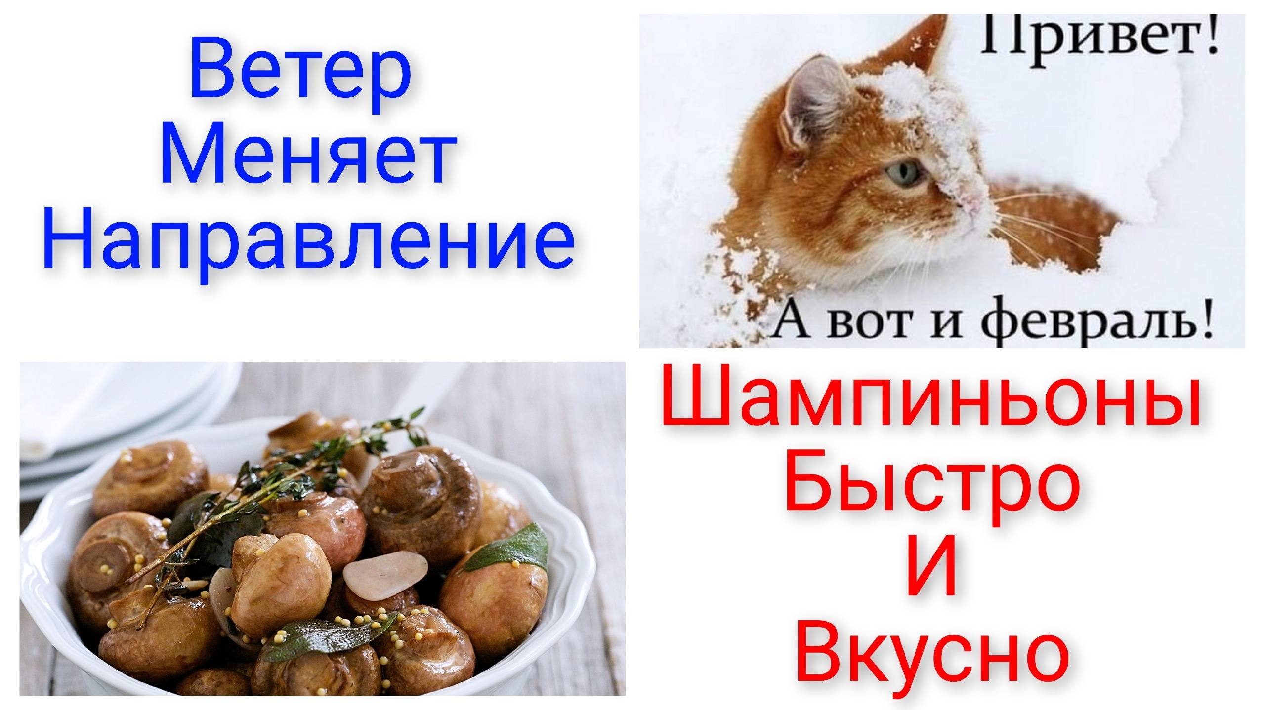 Февраль.Туман.Пашем.
Быстро и вкусно.Шампиньоны маринованные. смотреть онлайн