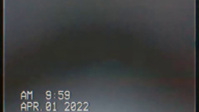 a torradeira valente (1987) na tela de sucessos do SBT em 2003 (SIMULAÇÃO) смотреть онлайн