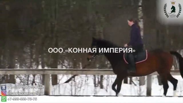 0507 смотреть онлайн