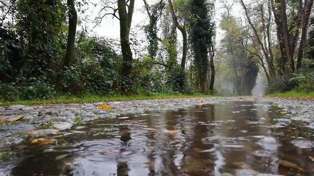Free No Copyright Footage Video For Nature And Landscape Drone Video Free To Use NO SOUND HD