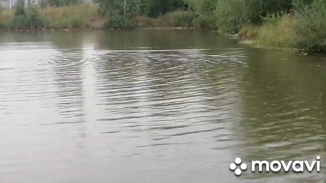 Попал на зарубу к Хочу Пожрать TV/Андрей и Лева с Коврова/VEL TV смотреть онлайн