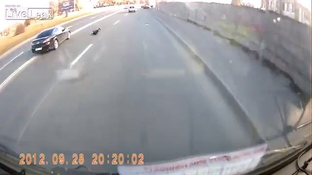 Самая удачливая собака в мире смотреть онлайн