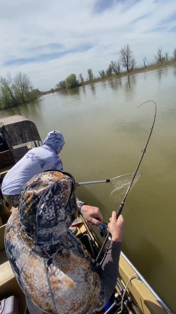Ловим жереха Астрахань🐟 смотреть онлайн