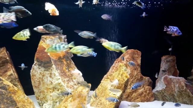 500 л. 27.11.17 смотреть онлайн