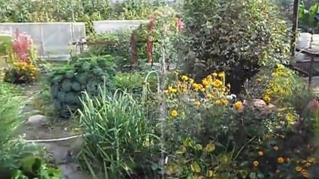 Фонтан 30л мин 06 09 14 AVI смотреть онлайн