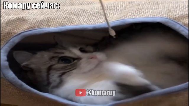 Комару в детстве😍 смотреть онлайн