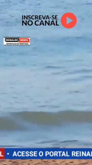 Tubarão de 2 metros assusta banhistas na Espanha #shots #tubarão #espanha #praia #mundo #paise смотреть онлайн