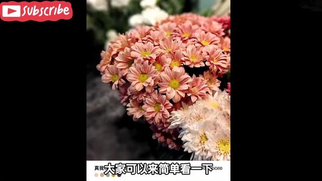 realme GT Neo 6 SE Review | RAW Gaming Test, display, Camera & AnTuTu 🔥 смотреть онлайн