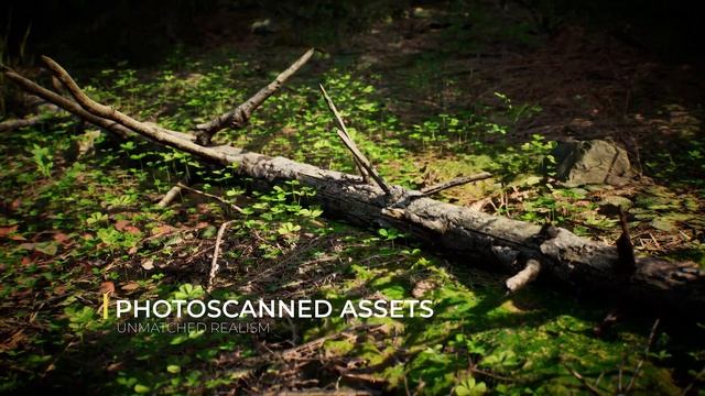Next Gen Graphics - Conifer Forest Asset Pack for Unreal Engine - UCreate смотреть онлайн