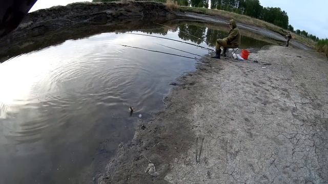 Микроджиг. Злые щупаки! смотреть онлайн