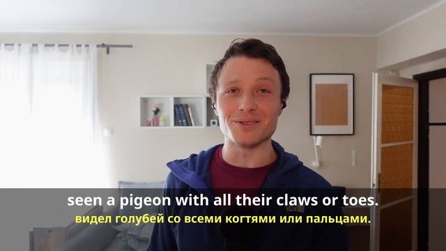 Разговорная практика английского языка 03: Вороны прям пугают! смотреть онлайн