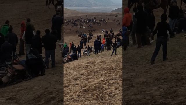 11 января 2023 г. смотреть онлайн