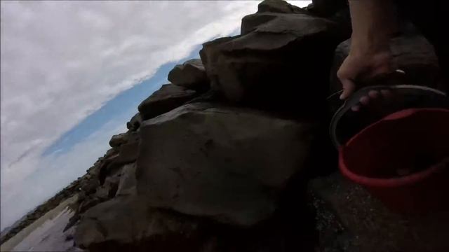 Finding Limpets смотреть онлайн