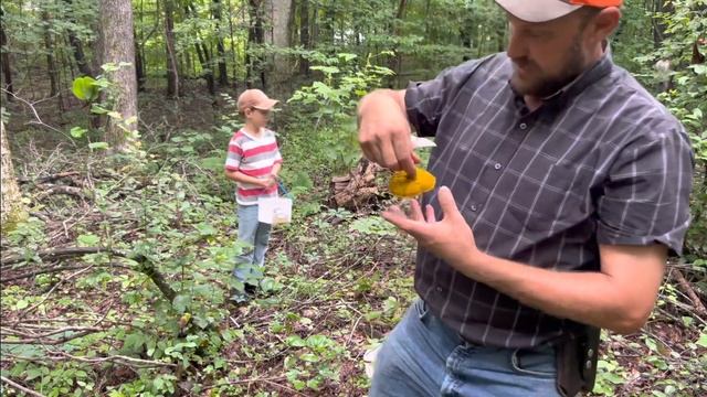 Mushroom adventure! смотреть онлайн