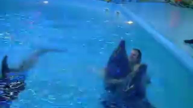 .Плавание с дельфинами.08.11.2011.AVI смотреть онлайн