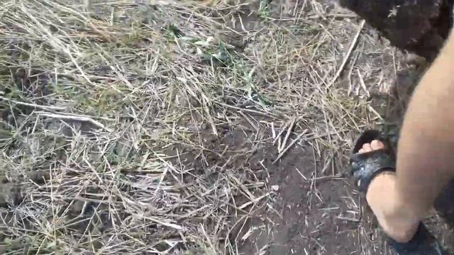 Успешная рыбалка на толстолобика и карпика смотреть онлайн