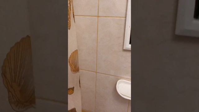 Авокадо Четырехместный номер 3 смотреть онлайн