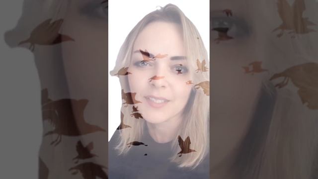 Белая ворона смотреть онлайн
