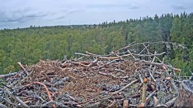 Запись 2019 08 08 20 33 58 875 смотреть онлайн