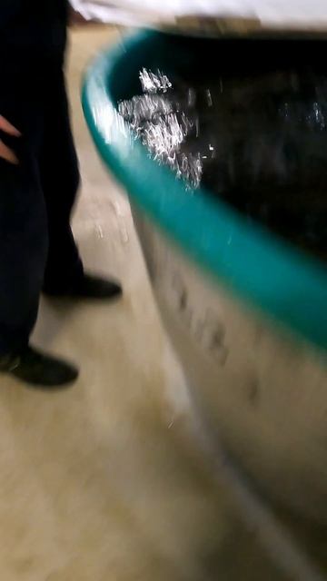 Приехали в Конаково за Осетром смотреть онлайн