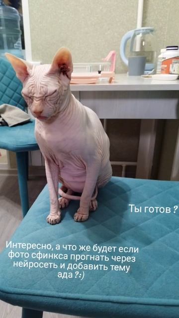 сфинкс и нейросети смотреть онлайн