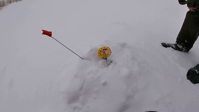 ЖЕРЛИЦЫ 2021. ФЛАЖКИ устремляются в НЕБО!!! Ловля щуки на жерлицы в глухозимье. Рыбалка на ЖЕРЛИЦЫ! смотреть онлайн