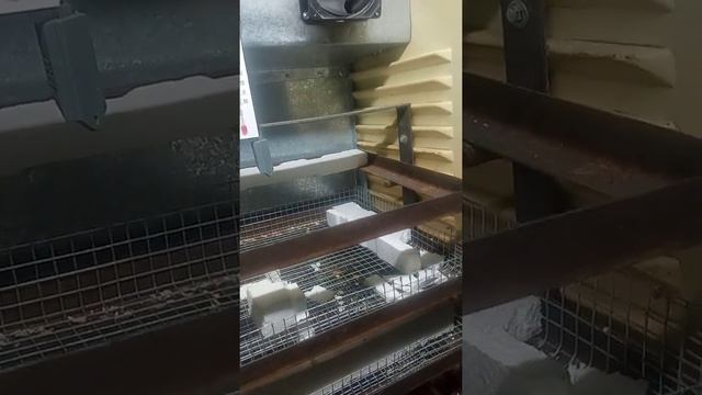 помогите советом по усовершенствованию инкубатора смотреть онлайн