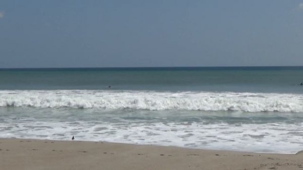 Соловьи. Aleks Family in USA. Движутся к мечте