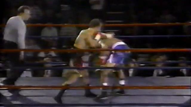 December 11, 1992 The World Boxing Federation JR Welter-weight World Championship Gibbins Vs Vice смотреть онлайн