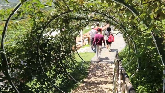 Tafso Barn CAFE Punclut Lembang Bandung, BenBong Travel VLOG#63 смотреть онлайн