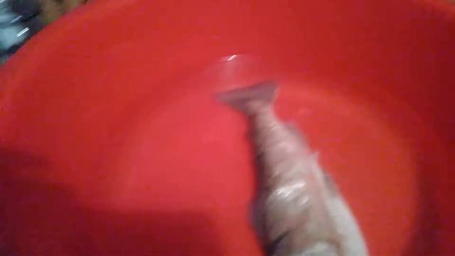 Обмен вкусняшками… смотреть онлайн