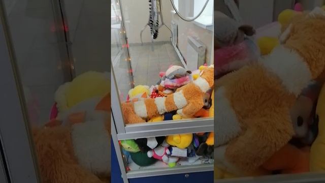 Как так 😮? Длинные коты в автомате хватайка. Не верю что смог выиграть! смотреть онлайн