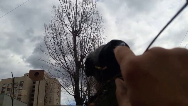 Очередь из ворон собралась,чтобы покусать мой палец😆(видно я очень вкусный😁😎🍗🥗👍😋🤤) смотреть онлайн