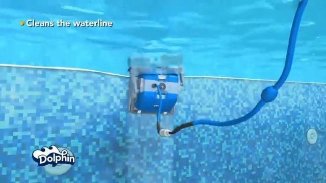 DOLPHIN SUPREME смотреть онлайн