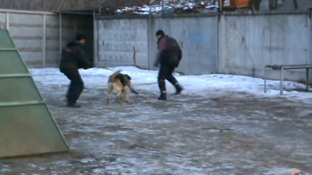 Саша Рада смотреть онлайн