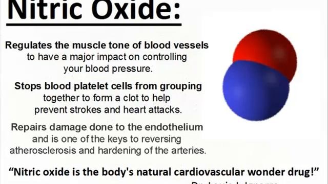 High Blood Pressure - Cardiovascular Wellness Library смотреть онлайн
