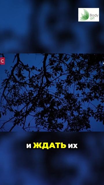 Как я потеряла 100 кг: История Тары о похудении и преображении смотреть онлайн