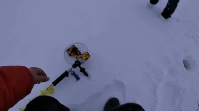 Оставили ЖЕРЛИЦЫ на ночь... БОНУС в пасти ТРОФЕЯ! Фартовая девченка ловит щуку! Рыбалка на жерлицы. смотреть онлайн