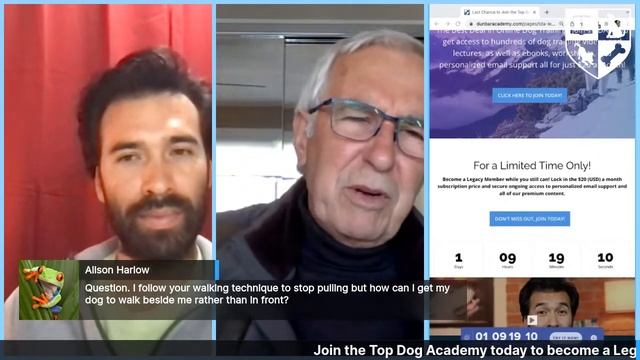 🐕 🙋 Dunbar Academy Q+A with Ian and Jamie - Mon Feb 14 - Games for Impulse Control смотреть онлайн