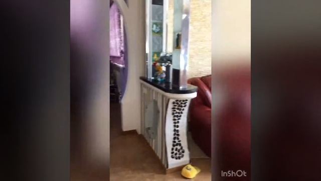 2 сентября 2018 г. смотреть онлайн