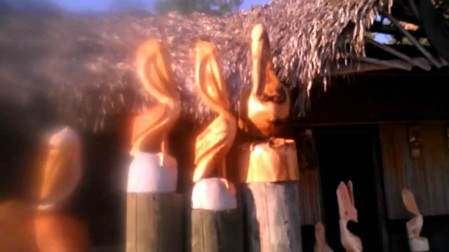 Beautiful pelican chainsaw carving смотреть онлайн