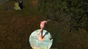 МУЛЬТИПЛЕЕР В МАЙ САММЕР КАР! УГАР С ДРУГОМ В MY SUMMER CAR ONLINE