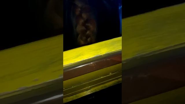 группа птица в тайшете смотреть онлайн