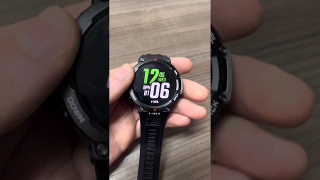UM ANO USO T REX 2 AMAZFIT 2024 смотреть онлайн