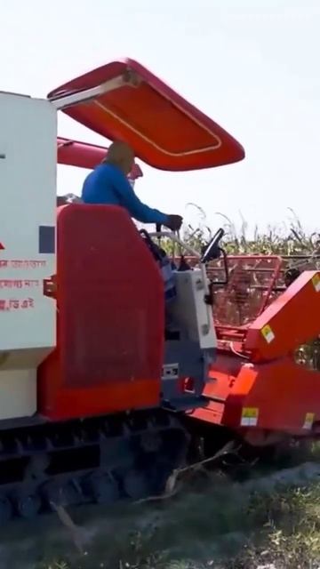 Lovol Full Feed Harvester смотреть онлайн