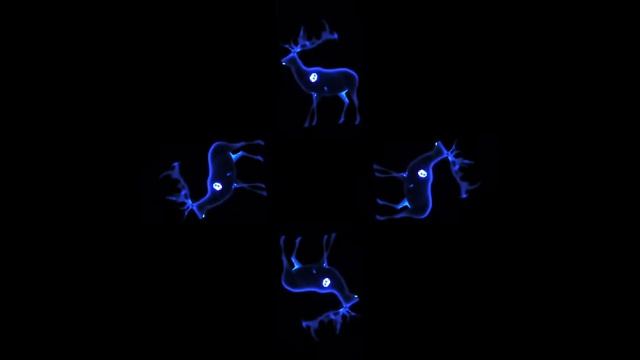 The best 3D hologram! Fantastic deer! #hologram #голограмма #3dhologram